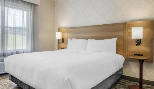 King Suite with Sofa Bed