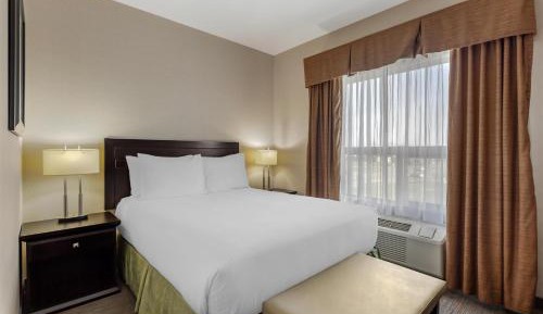 Queen Suite with Sofa Bed and Shower Only - Non-Smoking