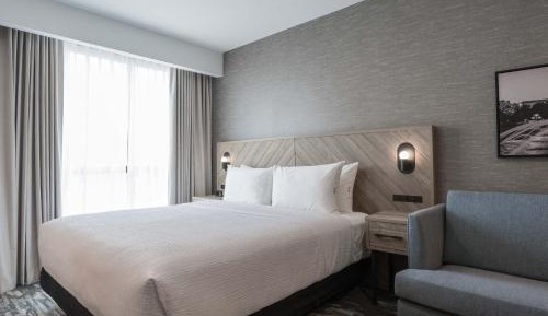 Standard Room, 1 King Bed, Sofa Bed, Euro Bathroom