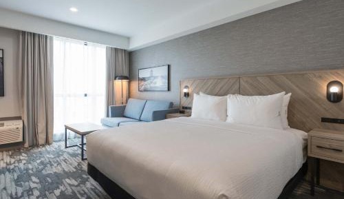 Standard Room, 1 King Bed, Sofa Bed
