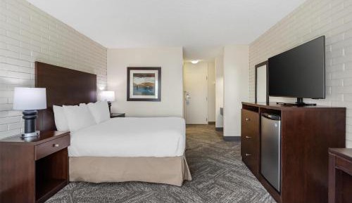 Queen Room with One Queen Bed - Non-Smoking