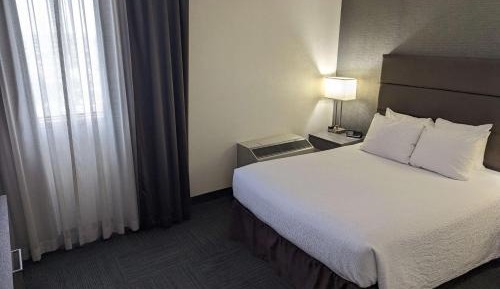 Queen Suite with Sofa Bed