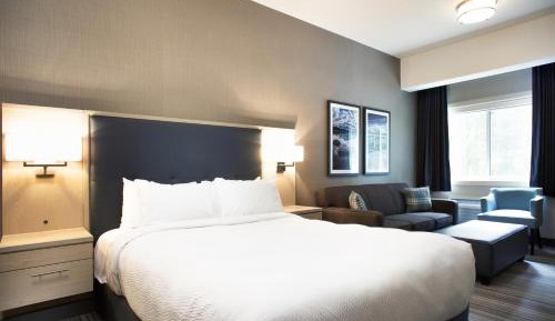 One Queen Room With Sofa Bed