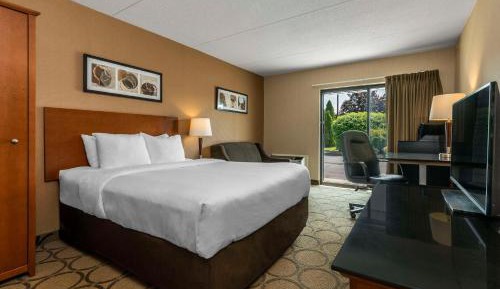 Deluxe Queen Room with Sofa Bed - Ground Floor