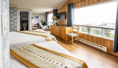Deluxe Double or Twin Room with River View