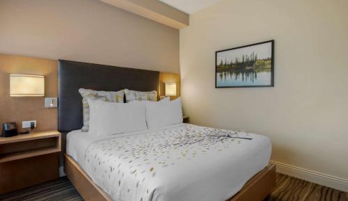 Queen Suite