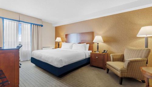 Standard Suite, 1 King Bed, Sofa Bed, Kitchenette