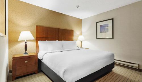 Standard Suite, 1 King Bed, Sofa Bed