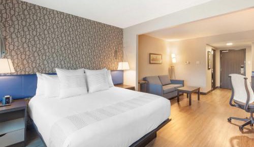 King Suite with Sofa Bed