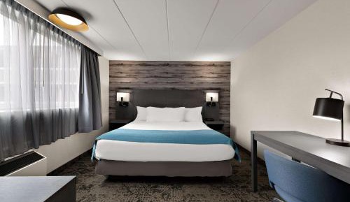 Cozy King Room