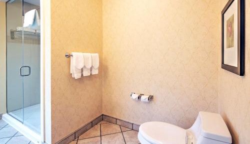Standard King Room with Walk-In Shower