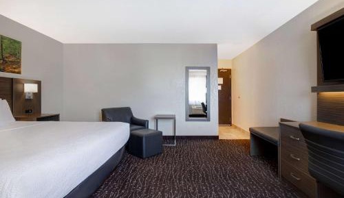 One-Bedroom King Suite, Non-Smoking