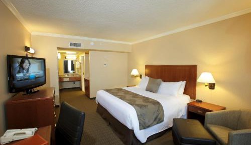 Queen Room with Patio - Non-Smoking