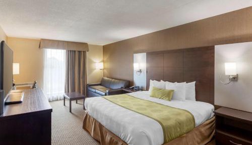 King Room with Sofa Bed - Disability Access