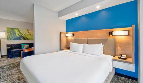 King Suite with Roll-In Shower and Sofa Bed - Mobility Access/Hearing Accessible