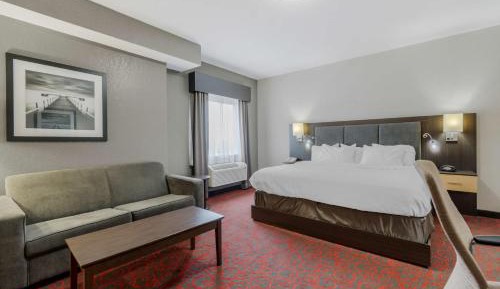 King Room - Pet Friendly/Non-Smoking