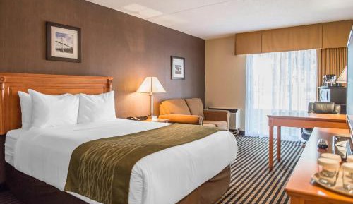 Deluxe King Suite - Non-Smoking