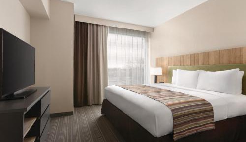 One-Bedroom King Suite with Sofa Bed - Non-Smoking
