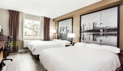 Deluxe Queen Room with Two Queen Beds - Pet Friendly