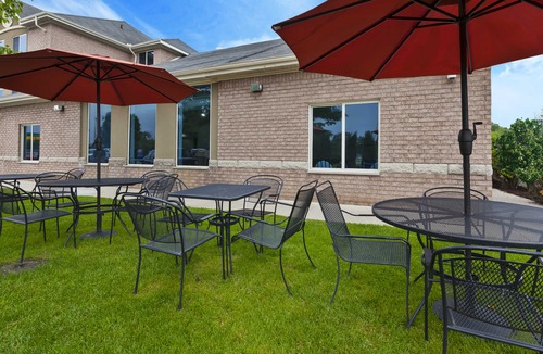 Taylor Hotel | Comfort Inn & Suites Taylor
