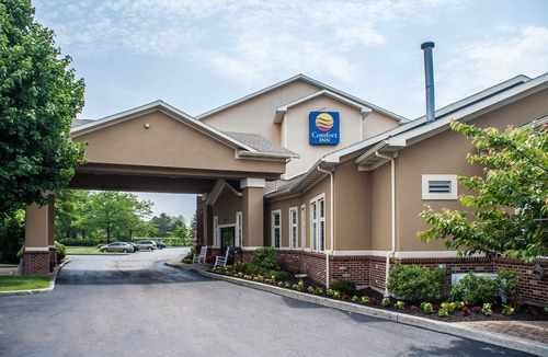 Amherst Hotel | Comfort Inn University
