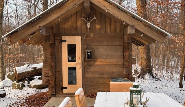 Private cabin and spa in the woods! Pet Friendly!