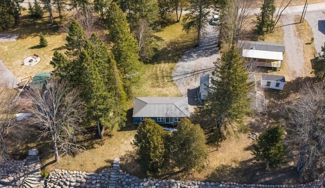 Newly renovated cozy cabin on beautiful river with great swimming and kayaking