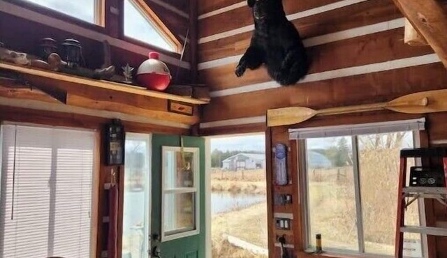 The Dreamers Cabin at Dare2Dream Farm