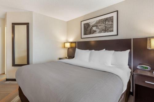 Quality Hotel Burlington 